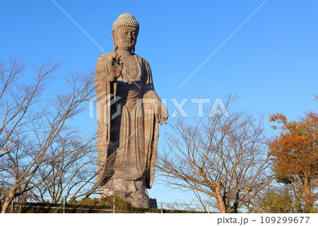 牛久大仏 ブロンズ製大仏立像 全高120メートル 茨城県牛久市久野町 浄土真宗東本願寺派本山東本願寺 牛久大仏 ブロンズ製大仏立像 全高120メートル 茨城県牛久市久野町 浄土真宗東本願寺派本山東本願寺 109299677
