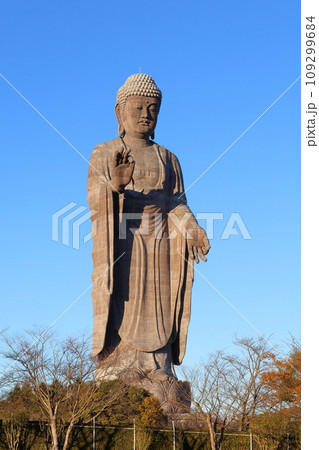 牛久大仏　ブロンズ製大仏立像　全高120メートル　茨城県牛久市久野町　浄土真宗東本願寺派本山東本願寺 109299684