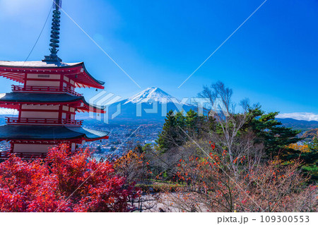 【富士山素材】紅葉時期の新倉山浅間公園【山梨県】 【富士山素材】紅葉時期の新倉山浅間公園【山梨県】 109300553