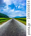 どこまでも続く一本道 109300854