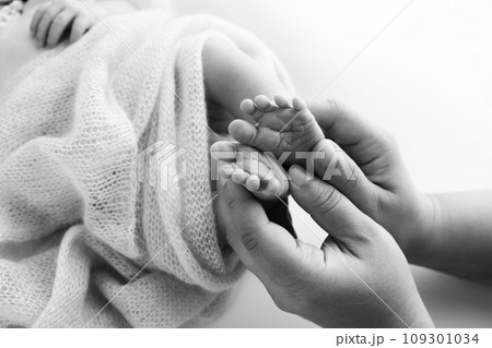 Children's foot in the hands of mother, father, parents. Feet of a tiny newborn close up. Little baby legs. Mom and her child. Happy family concept. Black and white image of motherhood stock photo.  109301034
