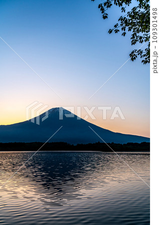 【静岡県】田貫湖から見る富士山と朝日 109301498