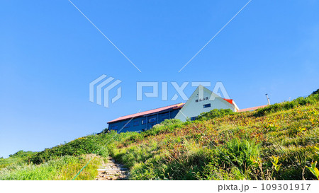 夏の爺ヶ岳登山（種池山荘） 109301917