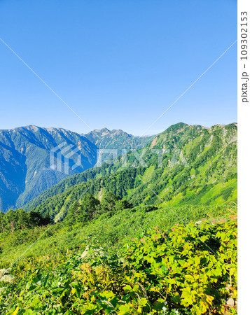 夏の爺ヶ岳登山（種池山荘から針ノ木岳・蓮華岳方面の眺め） 109302153