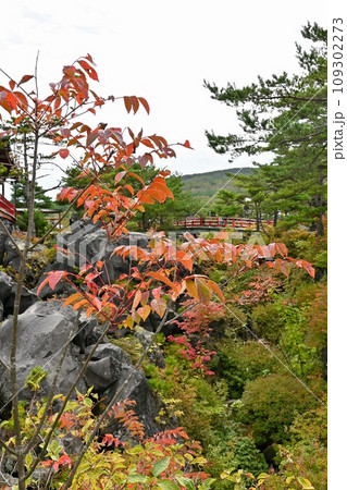紅葉に彩られた山寺の橋 109302273