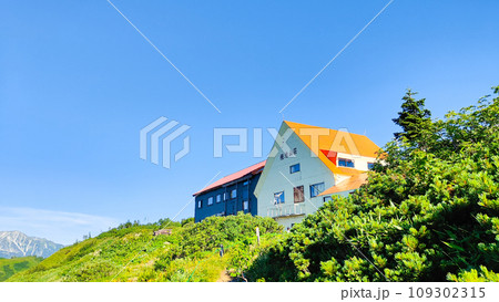 夏の爺ヶ岳登山（種池山荘） 109302315