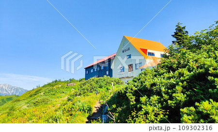 夏の爺ヶ岳登山(種池山荘) 夏の爺ヶ岳登山(種池山荘) 109302316