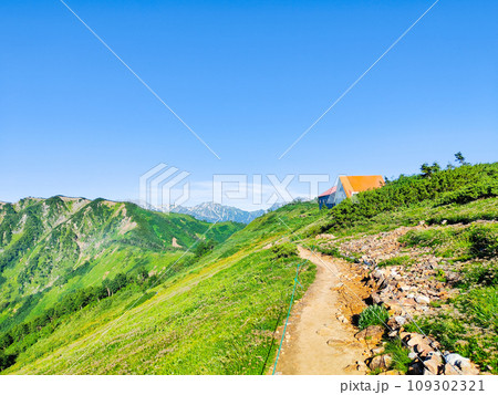 夏の爺ヶ岳登山（種池山荘） 109302321