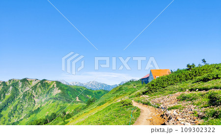 夏の爺ヶ岳登山（種池山荘） 109302322