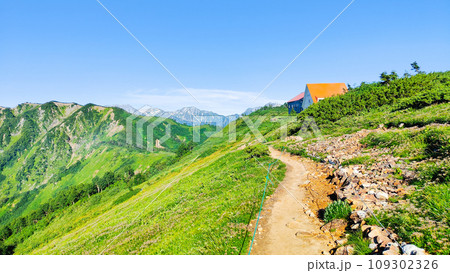 夏の爺ヶ岳登山（種池山荘） 109302326