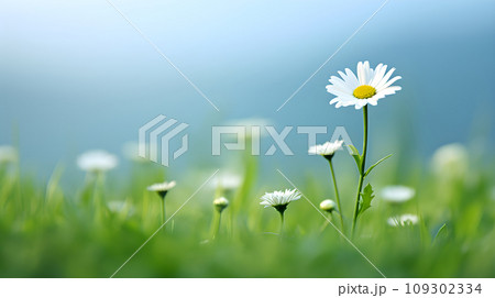 Daisy blossom stands tall amidst the vibrant green field, capturing the essence of summer. Its beauty is set against an abstract background. Created with natures art. Generative AI 109302334