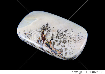 デンドリティック・ジャスパー 風景を宿す石 109302482