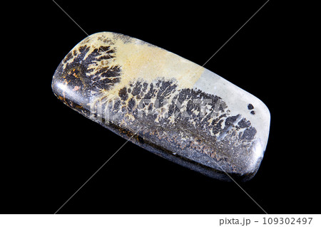 デンドリティック・ジャスパー 風景を宿す石 109302497