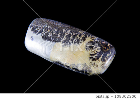 デンドリティック・ジャスパー 風景を宿す石 デンドリティック・ジャスパー 風景を宿す石 109302500