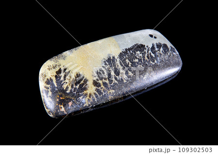 デンドリティック・ジャスパー 風景を宿す石 109302503