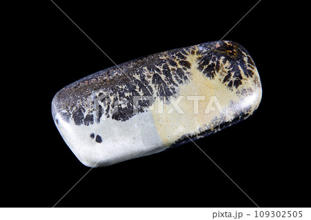 デンドリティック・ジャスパー 風景を宿す石 109302505