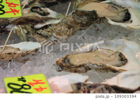 生カキ 牡蠣 海のミルク 生カキ 牡蠣 海のミルク 109303394