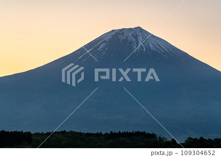 【静岡県】田貫湖から見る朝焼けの富士山 109304652