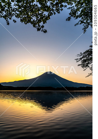 【静岡県】田貫湖から見る朝焼けの富士山 109304665