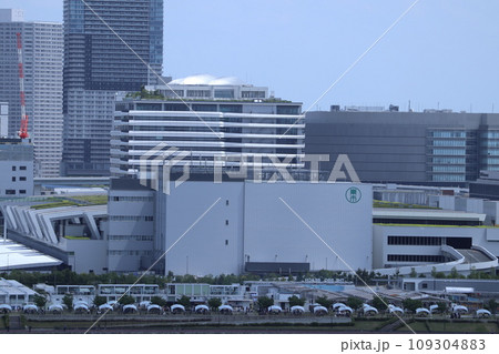 豊洲市場 109304883