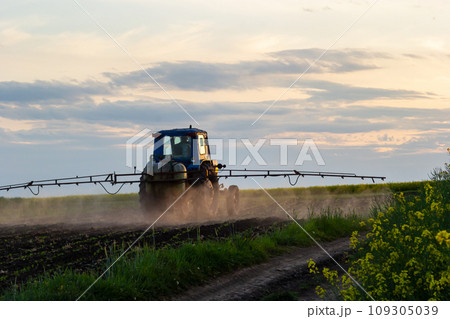 Tractor spraying pesticides on vegetable field with sprayer at spring 109305039