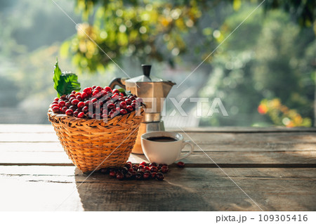 Coffee cherry beans in a basket placed on a wooden table 109305416