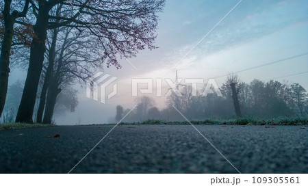 Misty Dawn on a Country Road 109305561