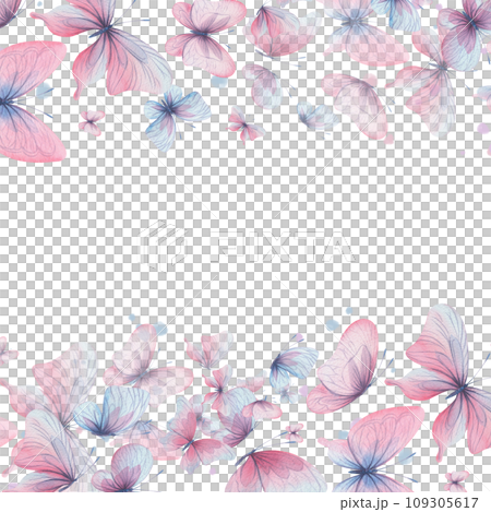 Butterflies are pink, blue, lilac, flying, delicate with wings and splashes of paint. Hand drawn watercolor illustration. Frame, banner, template on a white background, for design. 109305617