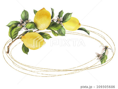 Lemons are yellow, juicy, ripe with green leaves, flower buds on the branches, whole and slices. Watercolor, hand drawn botanical illustration. Frame, wreath, template on a white background 109305686