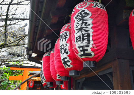 雨宝院の境内(京都府京都市上京区) 雨宝院の境内(京都府京都市上京区) 109305699