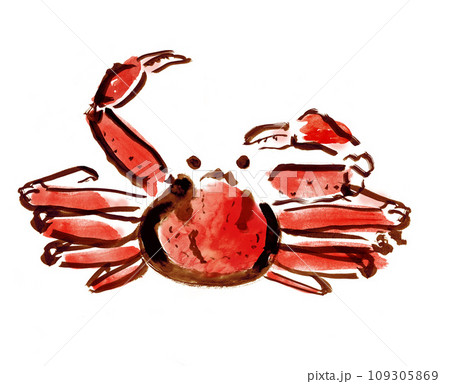ズワイガニが片方のハサミを上げる和風手描きイラスト 109305869