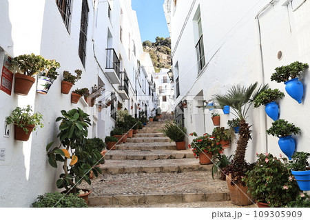 白い村フリヒリアナ、青い鉢植えの階段 白い村フリヒリアナ、青い鉢植えの階段 109305909