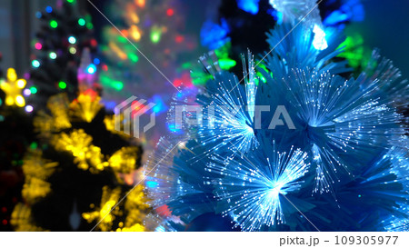 Christmas trees are shining brightly in garlands. 109305977