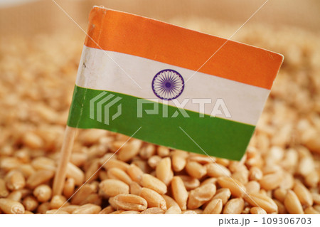 India flag on grain wheat, trade export and economy concept. India flag on grain wheat, trade export and economy concept. 109306703