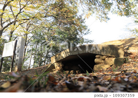 西山古墳 西山古墳 109307359