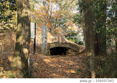 西山古墳 西山古墳 109307361