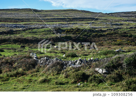 アイルランド・イニシュモア島の風景 109308256
