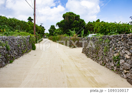沖縄　竹富島の集落 109310017