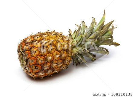 Ripe pineapple ona white background 109310139