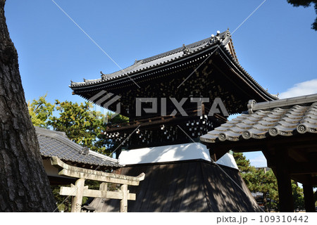 相国寺　洪音桜(鐘楼) 109310442