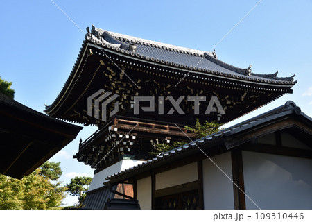 相国寺 洪音桜(鐘楼) 相国寺 洪音桜(鐘楼) 109310446