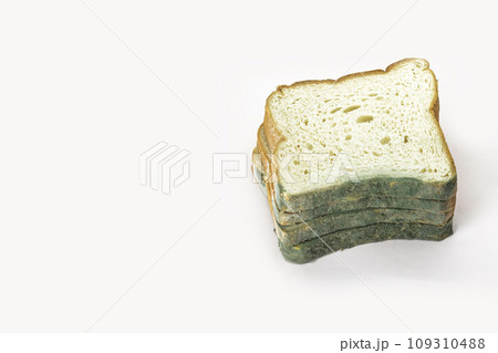 Fungal bread isolated on white background. Biodegradable food waste concept. Fungal bread isolated on white background. Biodegradable food waste concept. 109310488