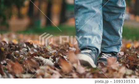 Legs of young boy sauntering along lawn. Legs of boy doing steps on park lawn. Legs of young boy walking on way across lawn with vivid thick carpet of leaves creating pleasant and playful scene 109310533
