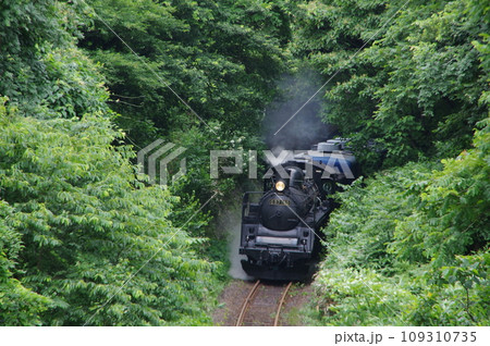 磐越西線 三川付近 緑のトンネルSL試運転 磐越西線 三川付近 緑のトンネルSL試運転 109310735