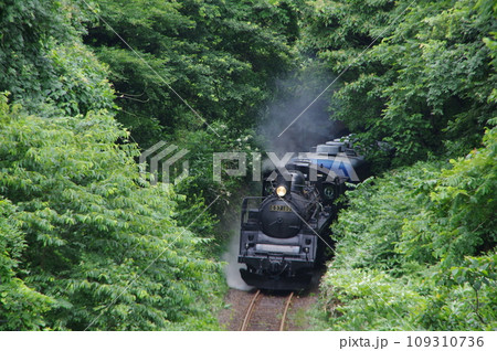 磐越西線 三川付近 緑のトンネルSL試運転 109310736
