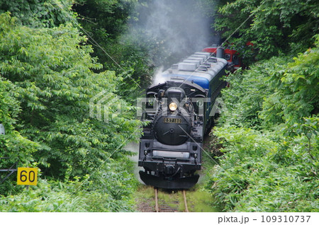 磐越西線 三川付近 緑のトンネルSL試運転 109310737