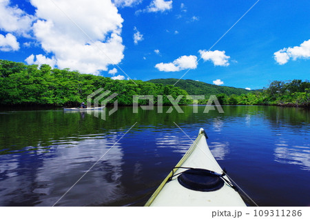 沖縄県西表島　仲間川を進むカヤック 109311286