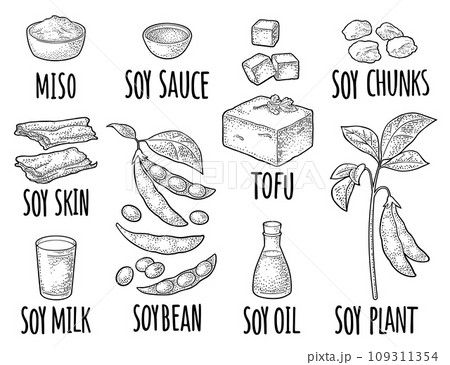 Soy food set. Miso, tofu skin, soybean, sauce Soy food set. Miso, tofu skin, soybean, sauce 109311354