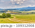 Slovakia summer landscape. Green summer fields, meadows, hills of Tatra mountains. Travel in vacations. Rural Road in Spis region, Slovakia. Spissky hrad national park 109312008