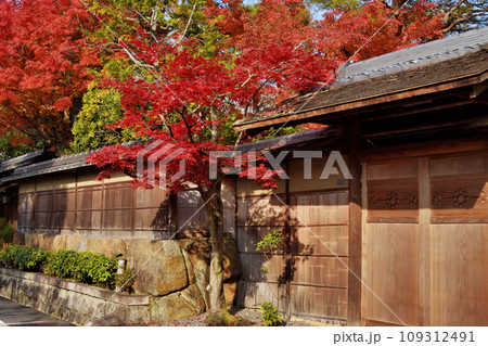 旧細川家別邸の紅葉 109312491